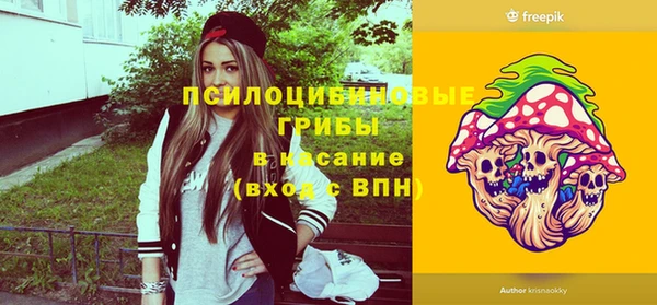 дурь Бронницы