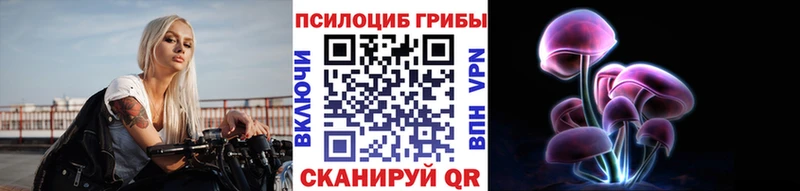Псилоцибиновые грибы Magic Shrooms  Вытегра 